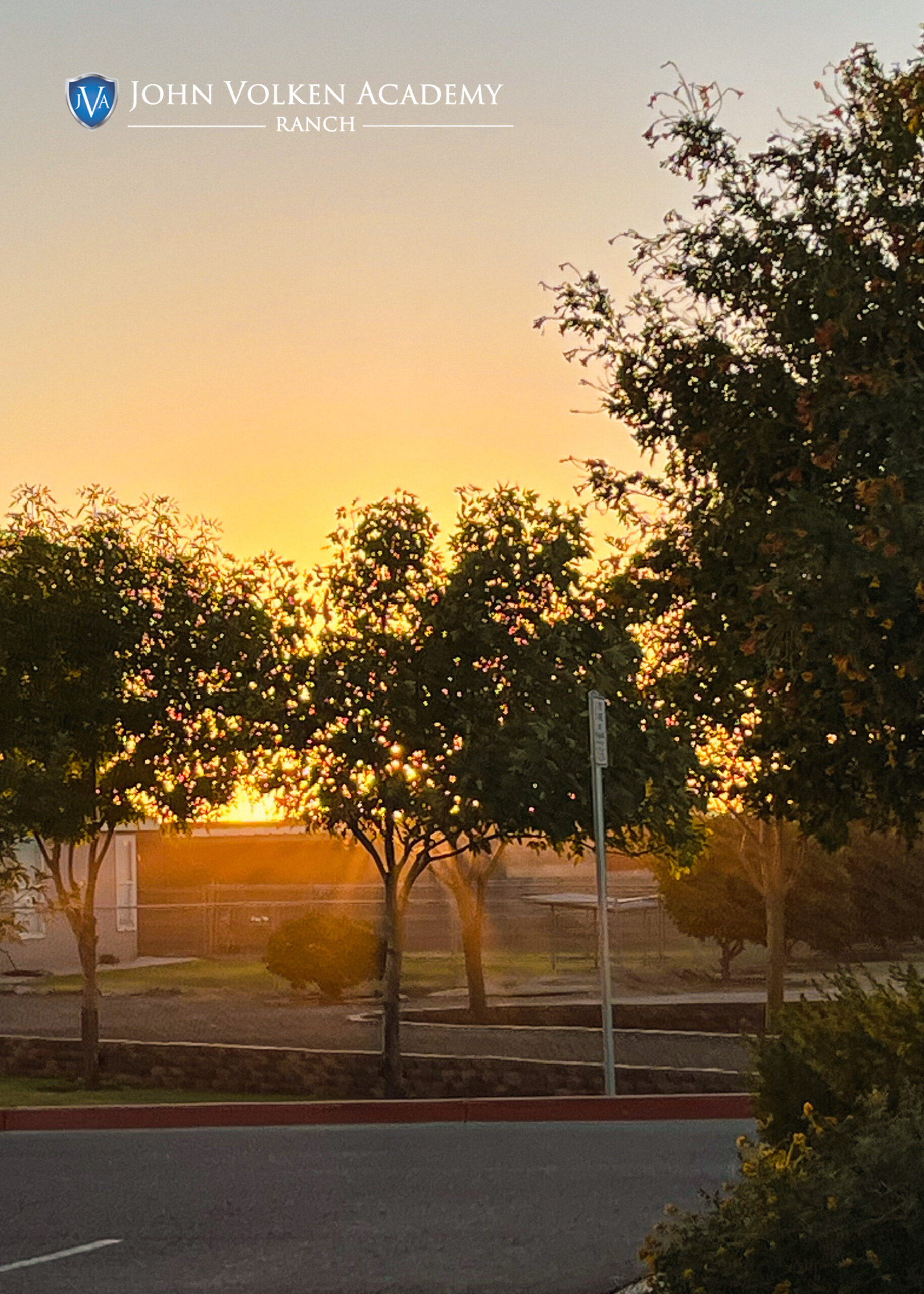 An office resembling a house, featuring three United States flags.